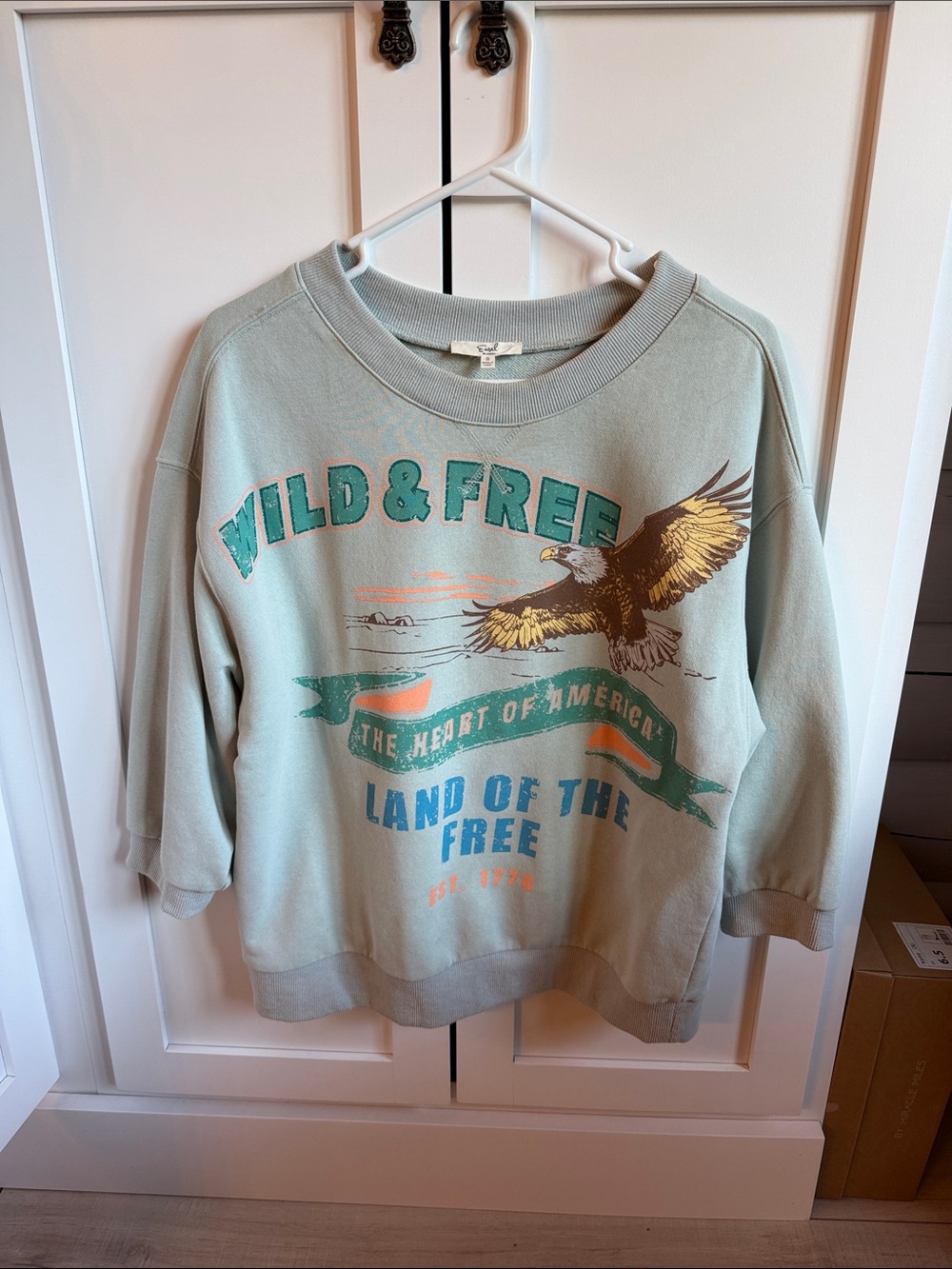 Wild & Free Eagle Graphic Crewneck Sweatshirt - Sage Green